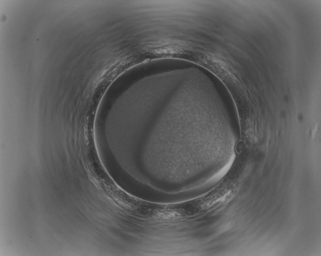 X0000058780547200510031023