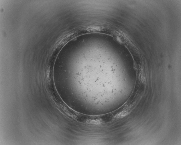 X0000058780548200510031023