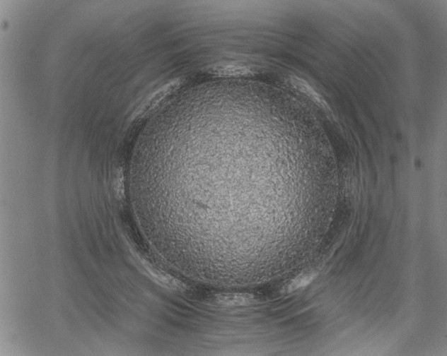 X0000058780549200510031023