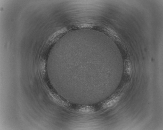 X0000058780550200510031023