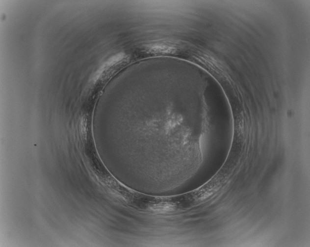 X0000058780551200510031023