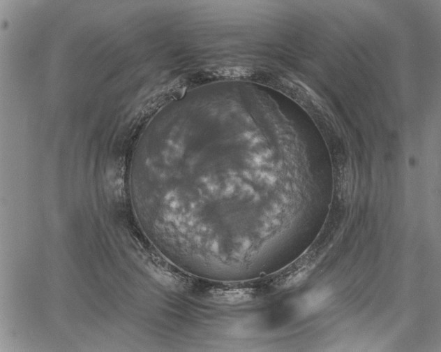 X0000058780553200510031023