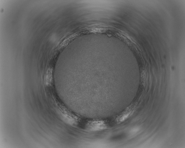 X0000058780554200510031023