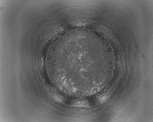 X0000058780555200510031023