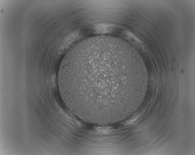 X0000058780556200510031023