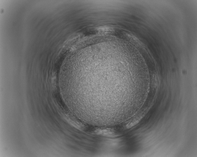 X0000058780557200510031023