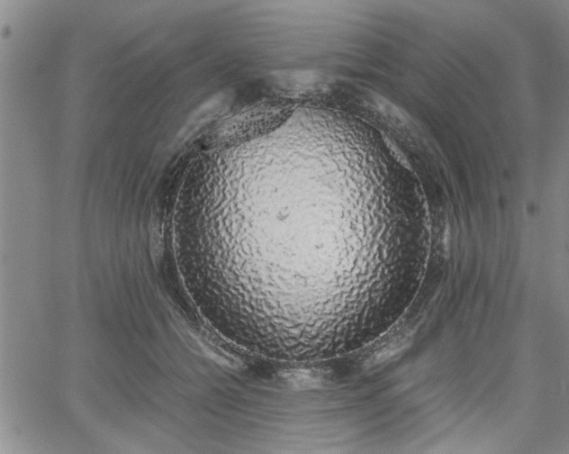 X0000058780558200510031023