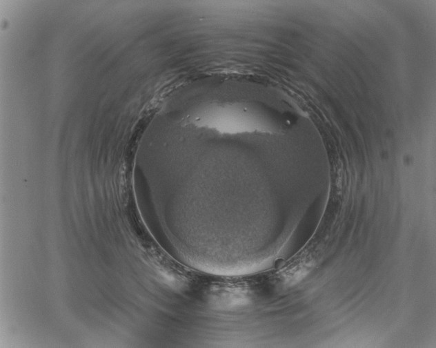 X0000058780559200510031023