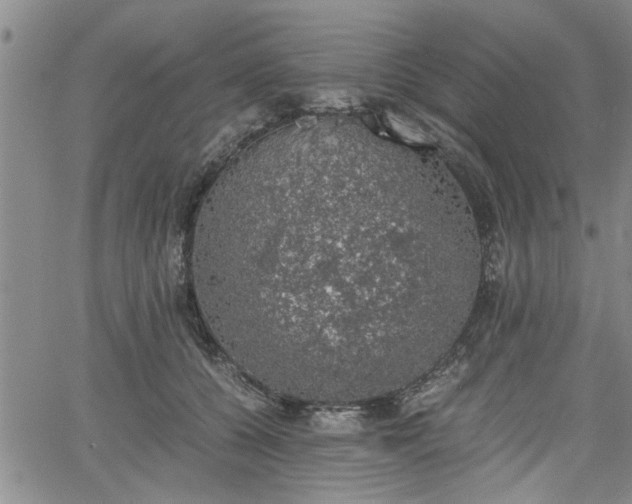 X0000058780560200510031023