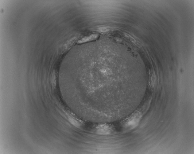 X0000058780562200510031023