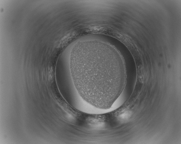 X0000058780563200510031023