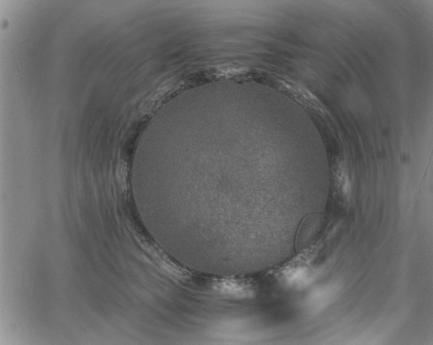 X0000058780565200510031023