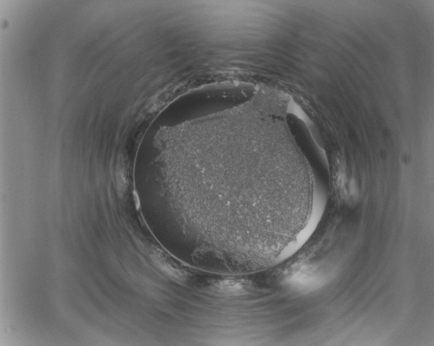 X0000058780566200510031023