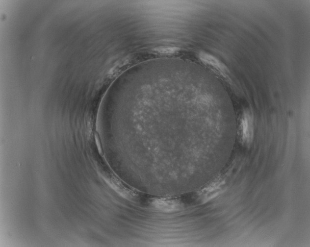 X0000058780568200510031023