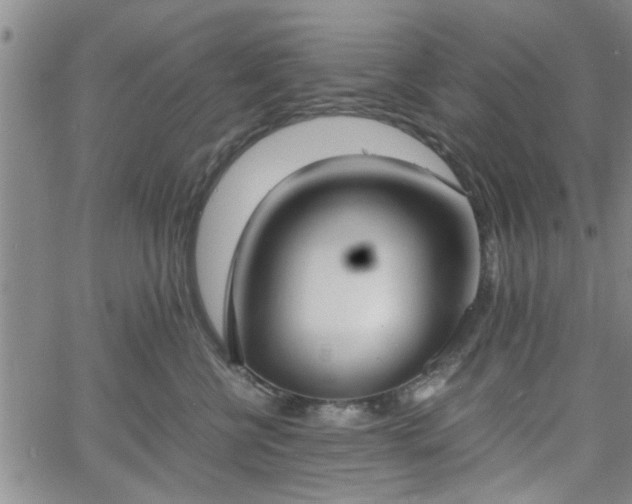 X0000058780570200510031023