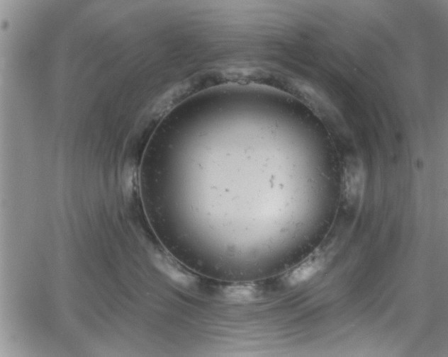 X0000058780574200510031023