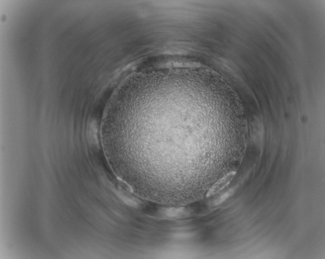 X0000058780575200510031023