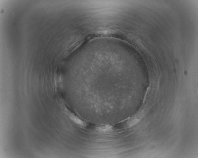 X0000058780576200510031023