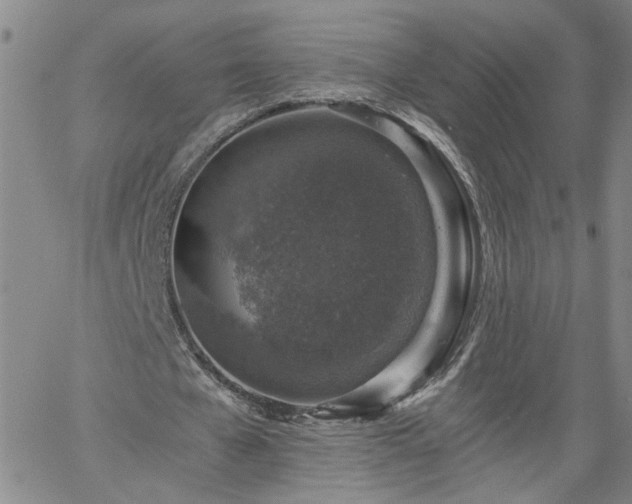 X0000058780577200510031022