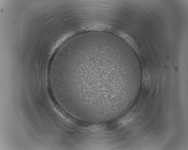 X0000058780578200510031022