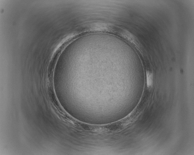 X0000058780579200510031022