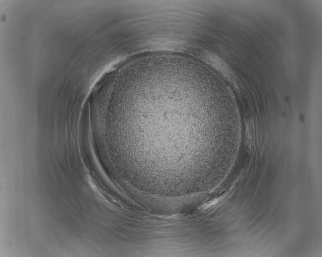 X0000058780580200510031022