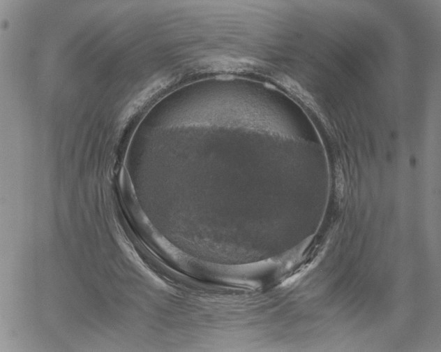 X0000058780581200510031022