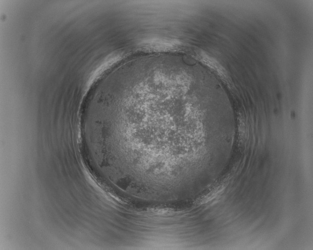 X0000058780582200510031022