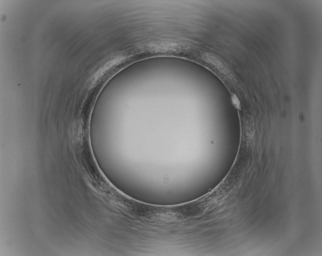 X0000058780583200510031022