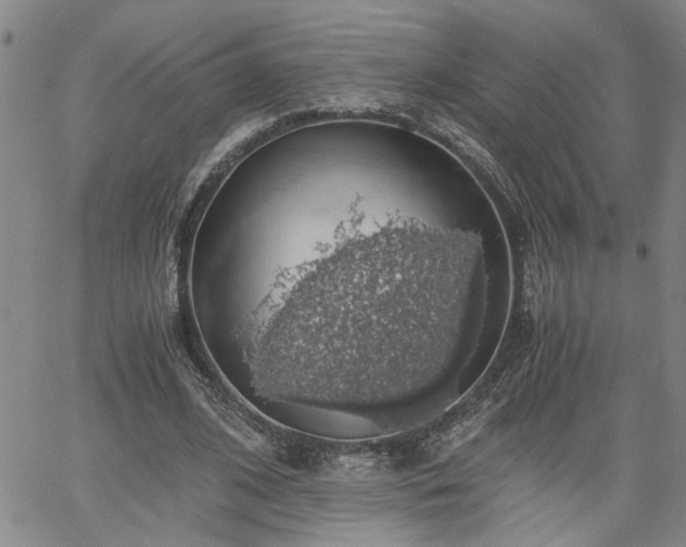 X0000058780584200510031022