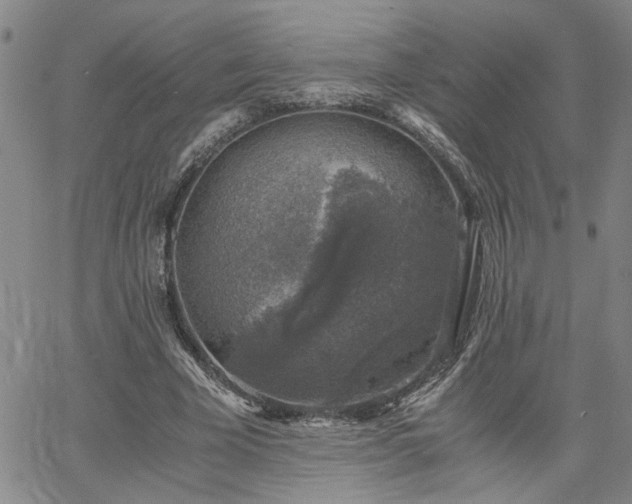 X0000058780585200510031022