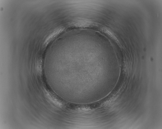 X0000058780586200510031022