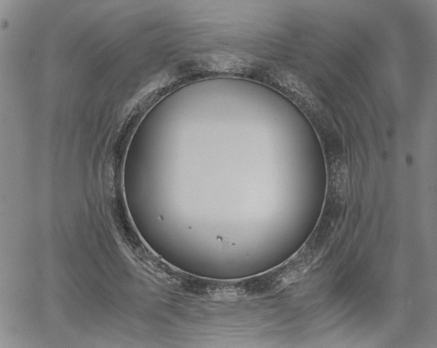 X0000058780587200510031022