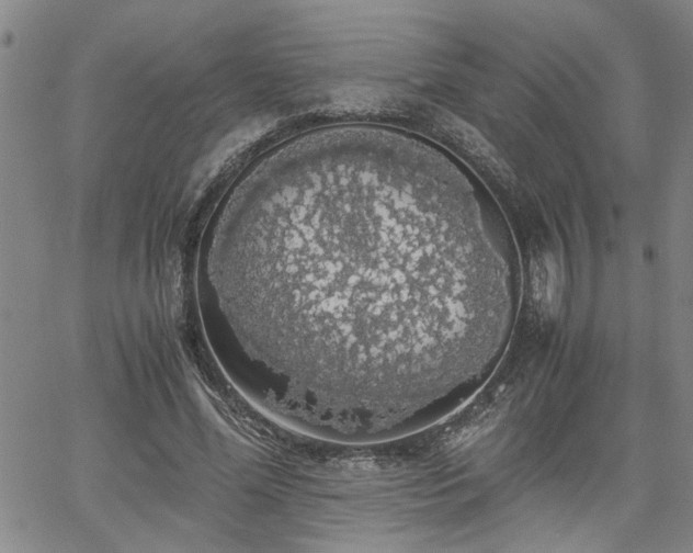 X0000058780588200510031022