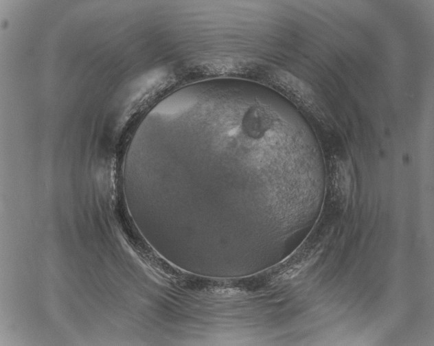 X0000058780590200510031022