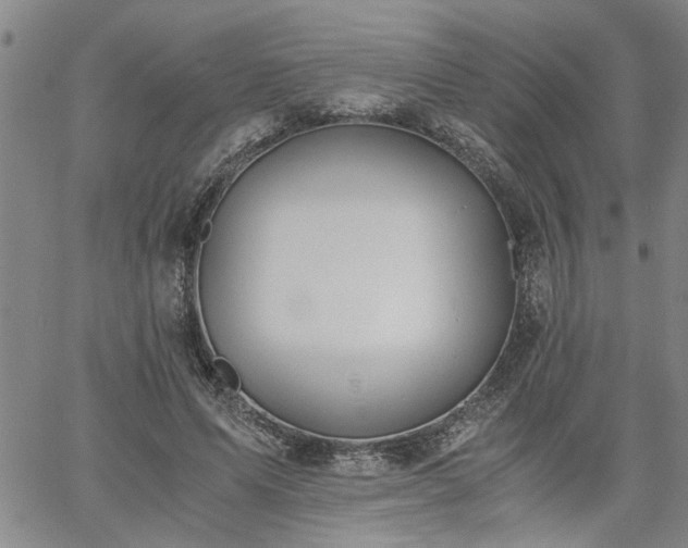 X0000058780591200510031022