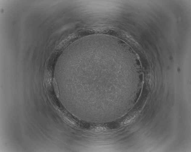 X0000058780593200510031022