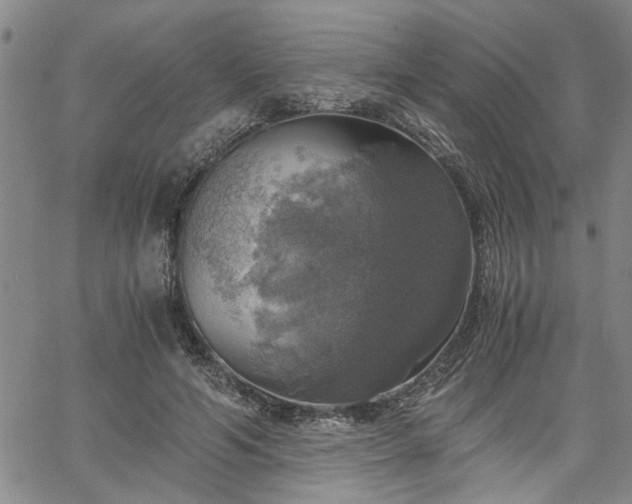 X0000058780594200510031022