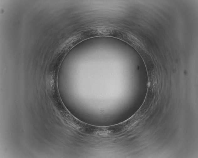 X0000058780595200510031022