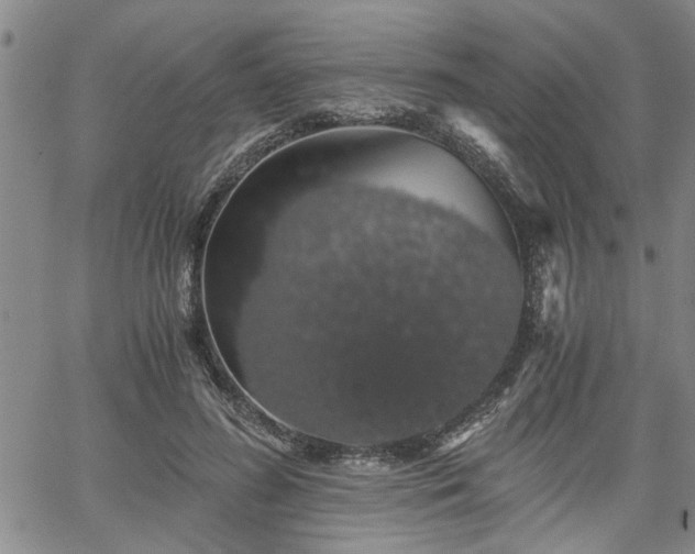 X0000058780596200510031022