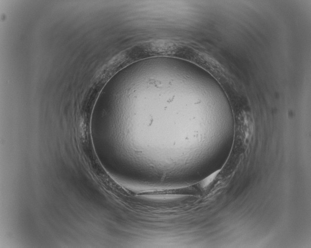 X0000058780597200510031022