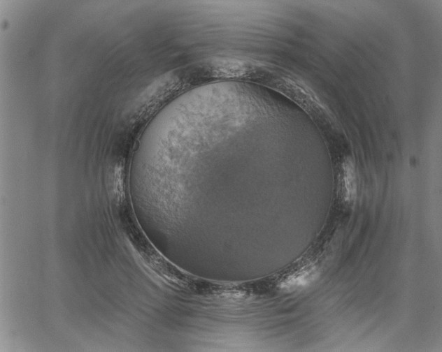 X0000058780598200510031022