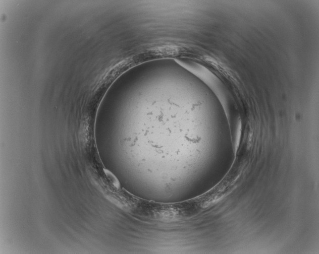 X0000058780600200510031022