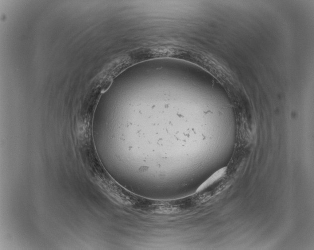 X0000058780601200510031022