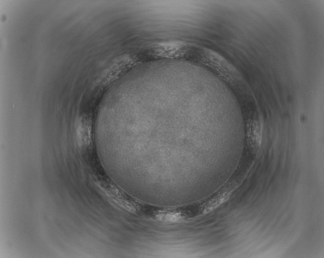 X0000058780602200510031022