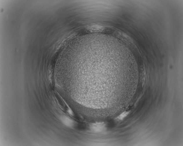 X0000058780604200510031022