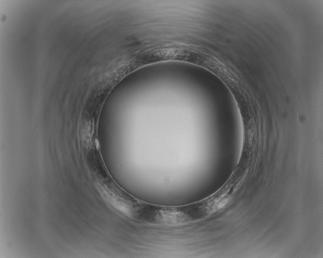 X0000058780605200510031022