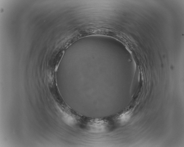 X0000058780607200510031022