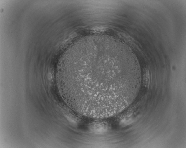 X0000058780608200510031022