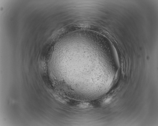 X0000058780609200510031022